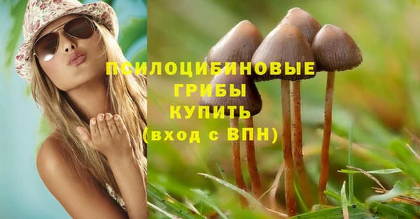 дмт Пересвет