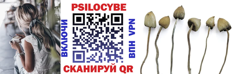 Псилоцибиновые грибы Psilocybe  что такое наркотик  Большой Камень 